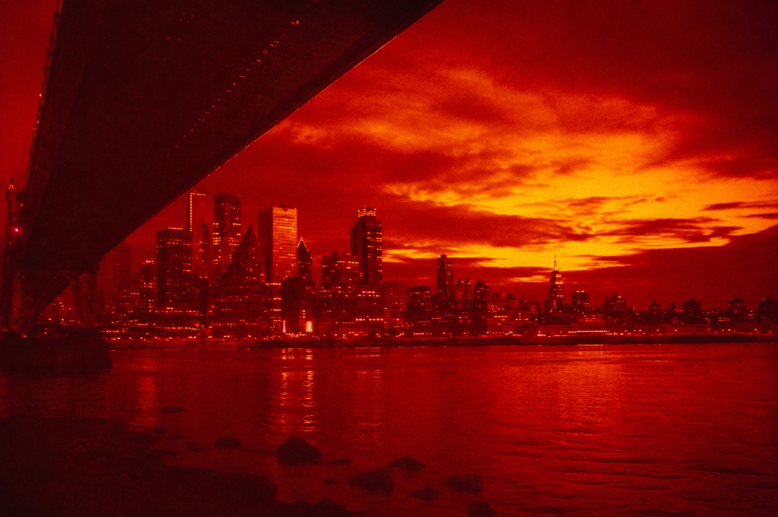 Phim Redscale: Lộn Ngược Đáy Nhũ Tương Đón Sắc Đỏ Rực Lửa